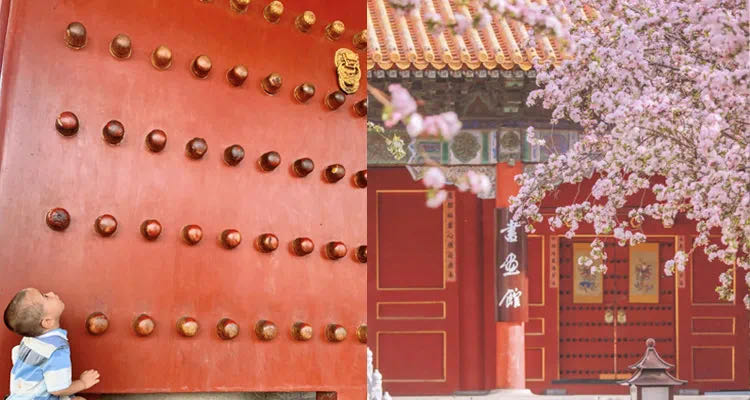 书画馆